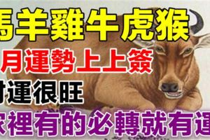 8月：你家裡有生肖【馬羊雞牛虎猴】嗎？家裡有的就有運！運勢上上簽，只有好事！