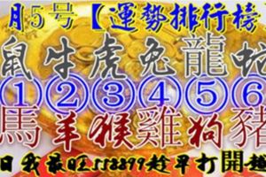 8月5號【12生肖運勢排行榜】食祿生財，財星高照，今日我最旺!558899趁早打開越靈!