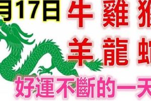 8月17日生肖運勢_牛、雞、猴大吉