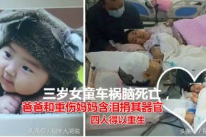 三歲女童車禍腦死亡，爸爸和重傷媽媽含淚捐其器官，四人得以重生