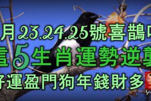 8月23.24.25號喜鵲叫，這5生肖運勢逆襲，好運盈門，狗年錢財多！