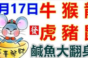 9月17日生肖運勢_牛、猴、龍大吉