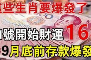 這些生肖要爆發了，21號開始財運一路發，9月底前存款爆發