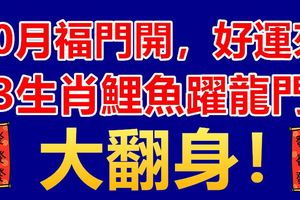 10月福門開，好運來，3生肖鯉魚躍龍門，大翻身！