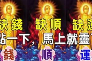 最近缺錢，缺順，缺運的人注意啦，點一點我，馬上就靈了！（點了記得還願）