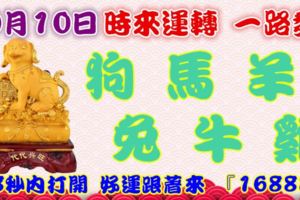 10月10日時來運轉一路發，狗馬羊兔牛雞，88秒內打開，好運跟著來『16888』