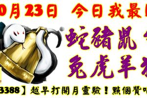 10月23日，今日我最旺！蛇豬鼠牛兔虎羊狗！【33388】越早打開越靈驗！點個讚吧！