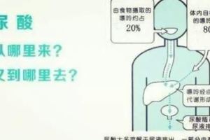 體檢發現尿酸偏高，為啥有人痛風發作、有人卻無症狀？