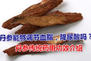 丹參能夠調節血脂，降尿酸嗎？丹參傳統藥用功效介紹