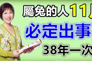 屬兔的人，11月，必定出事！38年一次