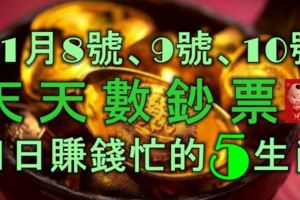 11月8號、9號、10號內，天天數鈔票,日日賺錢忙的5大生肖！