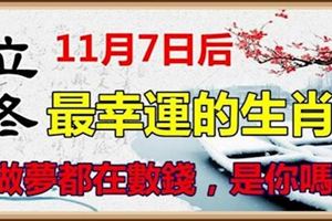 立冬（11月7日）後，最幸運的生肖