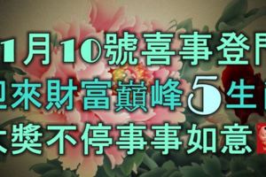 11月10號喜事登門，迎來財富巔峰的5生肖，大獎不停事事如意！