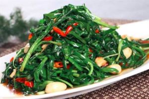 道道經典的韭菜9種做法，又香又鮮！男人女人都要多吃，營養健康超簡單！