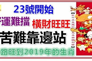 23號開始，好運難擋，橫財旺旺，苦難靠邊站，一路旺到2019年的生肖！