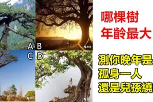 心理測試：哪棵樹年齡最大？測你晚年是孤身一人還是兒孫繞膝？