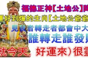 福德正神【土地公】降臨，財運好到爆的生肖【土地公爺爺】說，見我者轉走者都會中大獎誰轉走誰發財（就今天，好運來）很靈