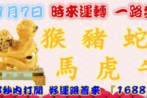 1月7日時來運轉一路發，猴豬蛇馬虎牛，88秒內打開，好運跟著來『16888』