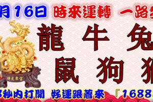 1月16日時來運轉一路發，龍牛兔鼠狗猴，88秒內打開，好運跟著來『16888』