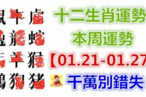 十二生肖運勢：本周運勢【01.21-01.27】千萬別錯失！