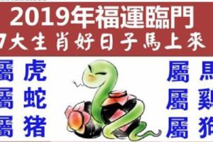 黃財神說：今日誰見我，2019年福運送去你家，好日子馬上來