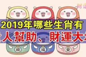 2019年哪些生肖會遇到貴人幫助、財運大增呢