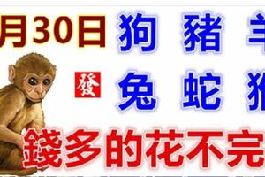 1月30日生肖運勢_狗、豬、羊大吉