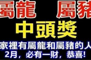 屬龍、屬豬的人：二月份必有一財！家裡有這兩個生肖的恭喜了