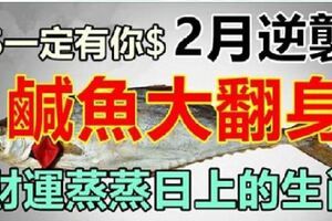 2月逆襲，鹹魚大翻身，財運蒸蒸日上的生肖，這其中一定有你