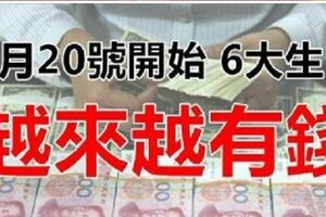 2月20號開始，財運大紅大紫，大小財統統來，越來越有錢的6大生肖