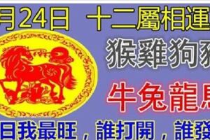 2月24日正月二十,十二屬相運勢(今日我最旺，誰打開，誰發財)