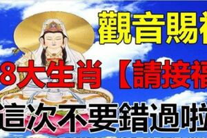 今日觀世音菩薩賜福，8大生肖【請接財】