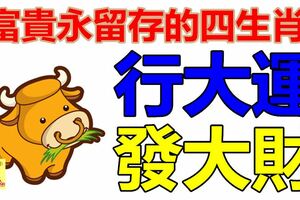 富貴永留存的四生肖，行大運發大財，事業萬利