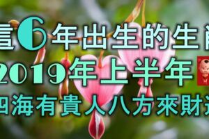 這6年出生的生肖，2019年上半年四海有貴人，八方來財運！