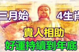 三月始，會有貴人相助,好運持續到年底的4大生肖