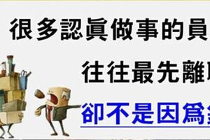 為什麼認真做事的員工卻往往最先離職呢？