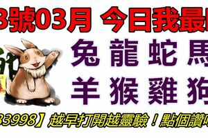 13號03月，今日我最旺！兔龍蛇馬羊猴雞狗！【33998】越早打開越靈驗！點個讚吧！