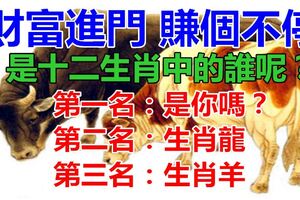 在十二生肖中財富進門，賺個不停的生肖說的是誰呢？