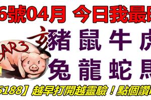 26號04月，今日我最旺！豬鼠牛虎兔龍蛇馬！【66188】越早打開越靈驗！點個讚吧！