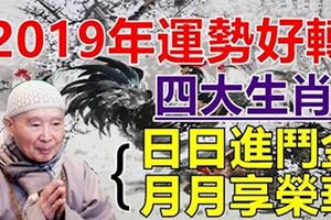 2019年運勢好轉的四大生肖。