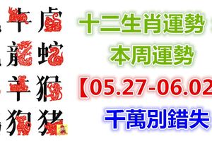 十二生肖運勢：本周運勢【05.27-06.02】千萬別錯失！