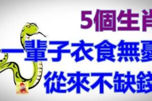 神仙保佑：一輩子衣食無憂的5個生肖，從來不缺錢，希望有你