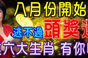 這六大生肖八月份起都逃不過【頭獎運】有你嗎