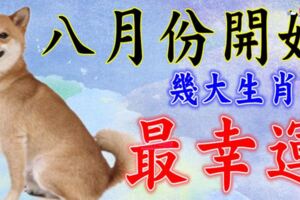 八月份開始，這幾大生肖最幸運