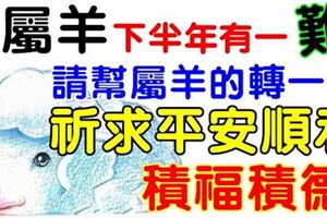 生肖羊的人：下半年有一「難」，請幫生肖羊的轉一下，祈求平安順利，積福積德