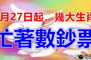 8月27日起，財富大增，忙著數鈔票的生肖