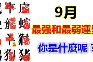 9月最強和最弱運勢的屬相~你是什麼呢？