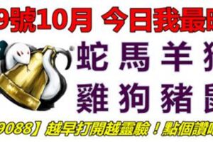 19號10月，今日我最旺！蛇馬羊猴雞狗豬鼠！【19088】越早打開越靈驗！點個讚吧！