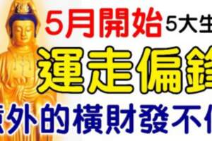 5月開始運走偏鋒，意外的橫財發不停的生肖