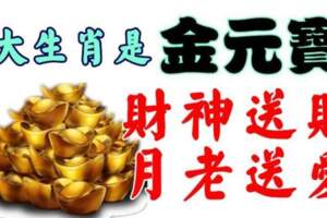 5大生肖是金元寶，財神送財，月老送愛